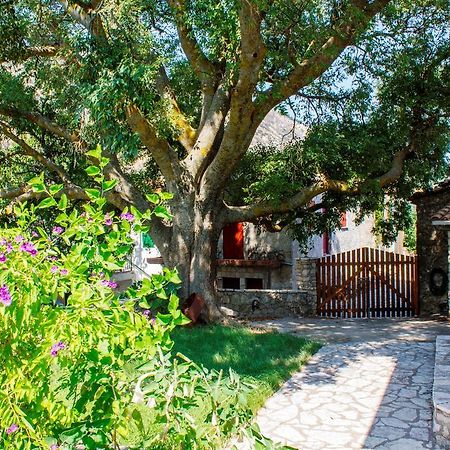 Menelia Cottage Platistoma Номер фото